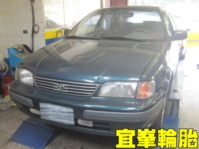 誤闖叢林的Tercel