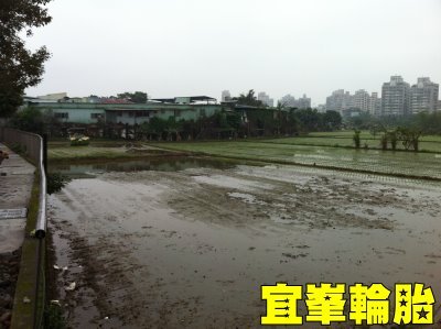 兩個美國人的戰爭!!