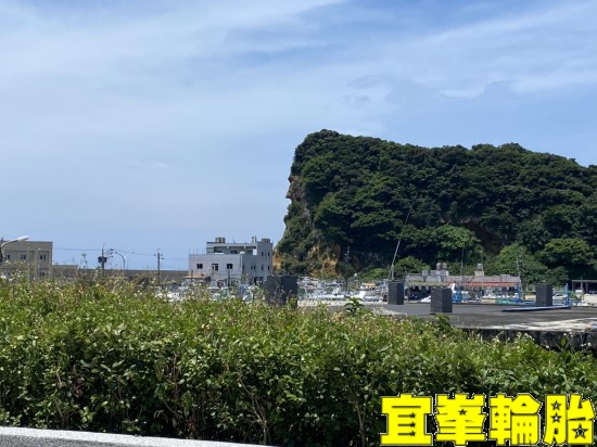 2020/07/19 睽違已久的透抽班