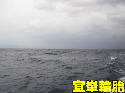 連續兩天瘋狂的釣魚~台東成功篇