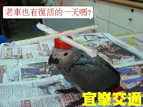 仙草M1是卡到陰嗎~ 之完結篇