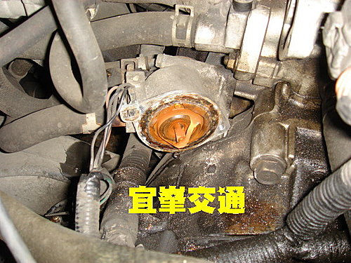 又是一個想不開的人倫大悲劇!!!!!!!!!